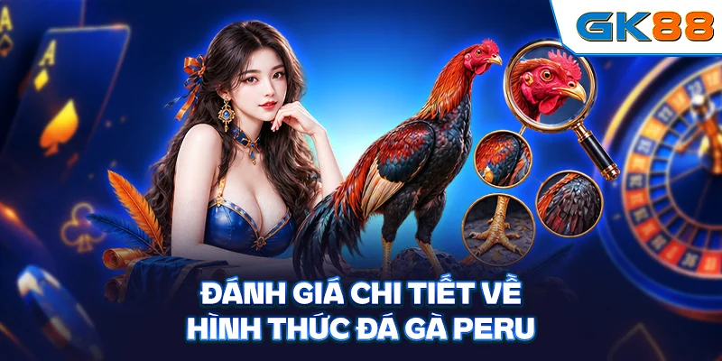 Đánh giá chi tiết về hình thức đá gà Peru